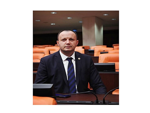 Orman Köylüsünün feryadı, Meclise taşındı.