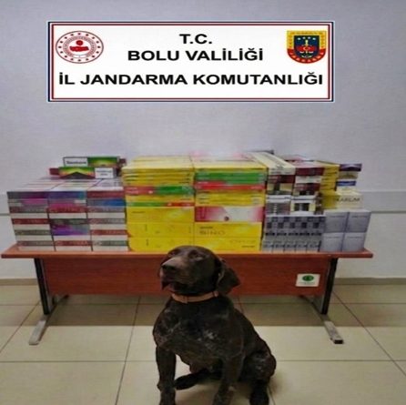 Kaçak Sigara Ürünleri Kapsamında Bir Şüpheli Hakkında Yasal İşlem Başlatıldı