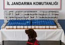 Bolu Jandarma Tarafından, 9.700 adet makaron ele geçirildi