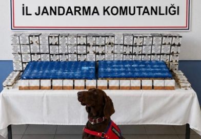 Bolu Jandarma Tarafından, 9.700 adet makaron ele geçirildi