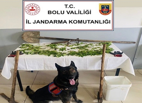 Kenevirle İlgili Bir Şüpheli Şahıs Tutuklandı