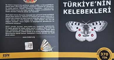 TRAKEL TÜRKİYE’NİN KELEBEKLERİ KİTABI ÇIKTI
