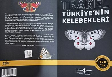 TRAKEL TÜRKİYE’NİN KELEBEKLERİ KİTABI ÇIKTI